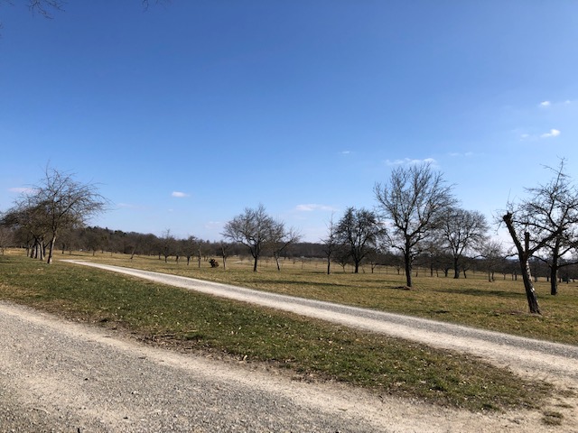 5.3. Ende der Trockenzeit