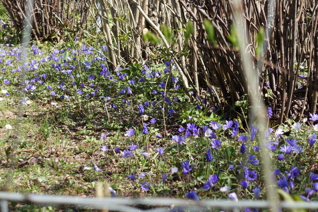 17.4. RT13 Eltinger Kopf (Ostersonntag)
