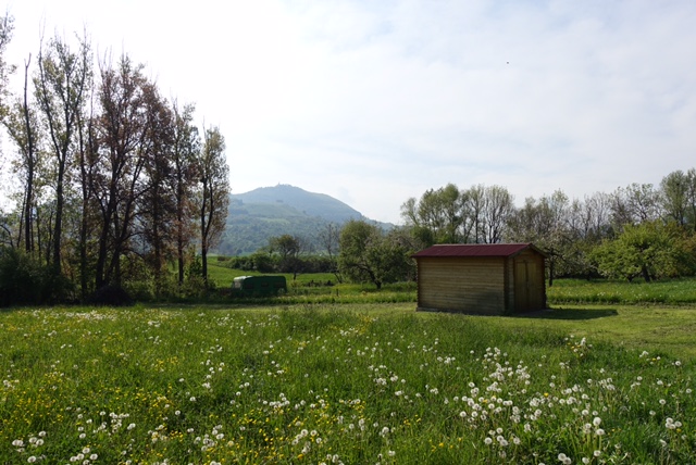 7.5. RT19 „Tour de Stuttgart“ Tag 2 (Nenningen) Update