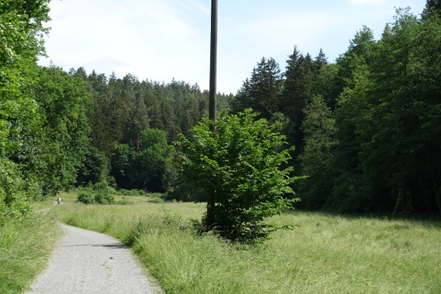 6.6. RT32: Pfingstmontagstour ins Sulzbachtal