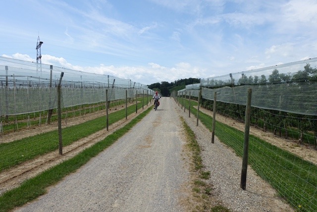 1.6. Bodensee: RT30 Tettnang