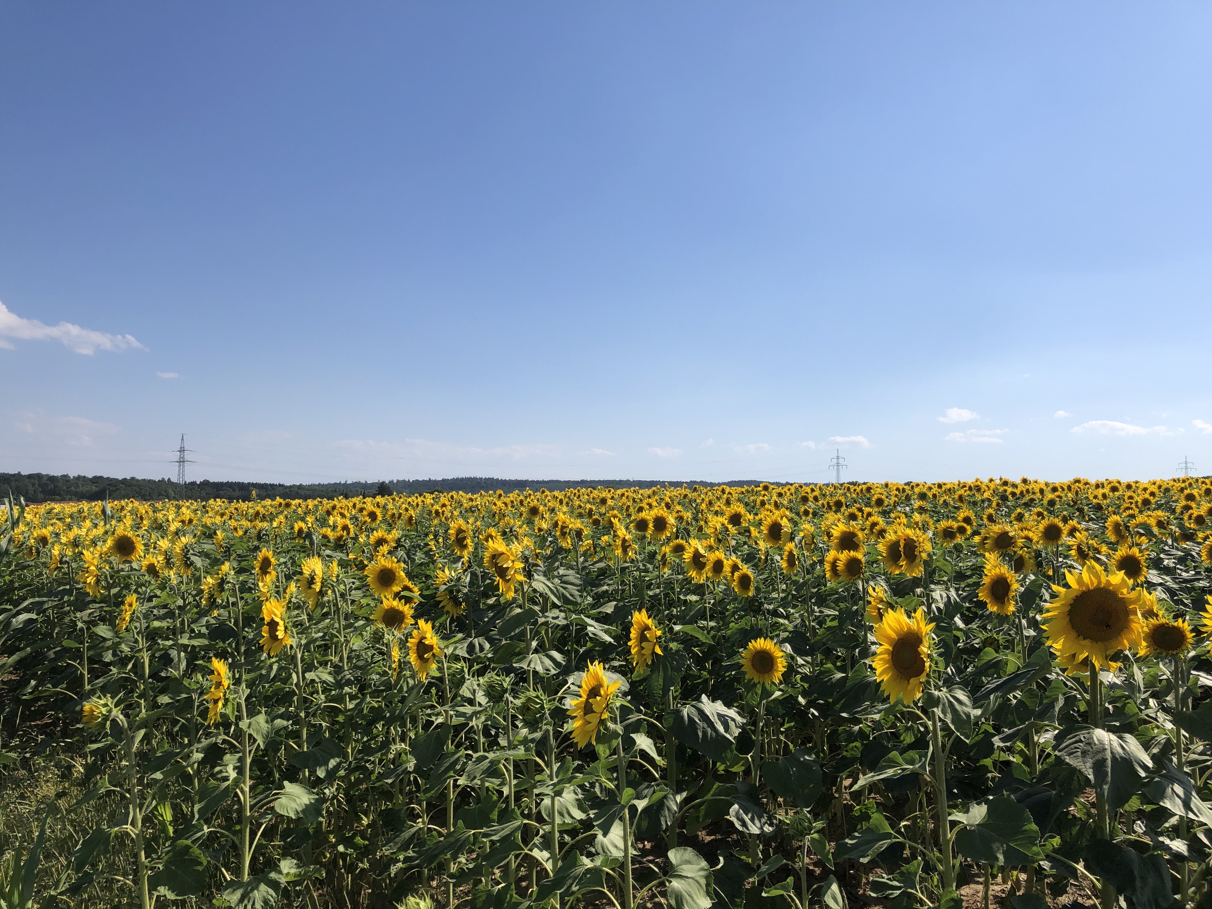 15.7. RT49 Schaichtal