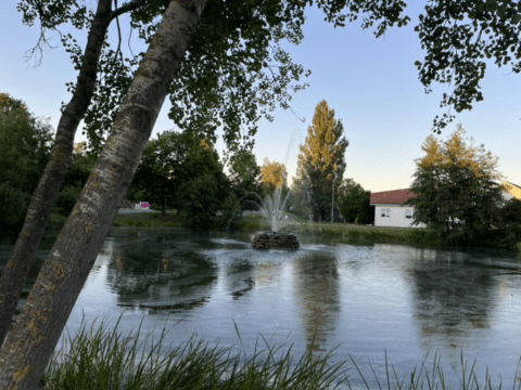 06.08. RT63: Es gibt Eis in Weil