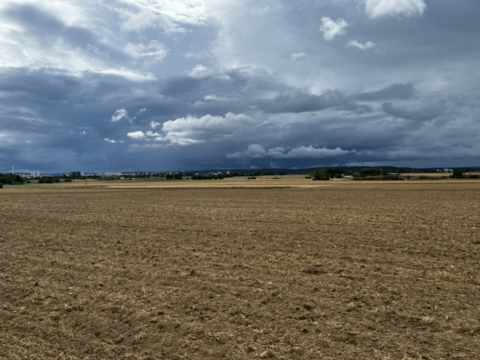 20.08: RT67: Besuch beim Trollinger