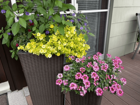 27.08: Albtour Anreise nach Feldstetten