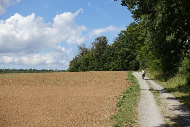 7.9. RT73: Deckenpfronn