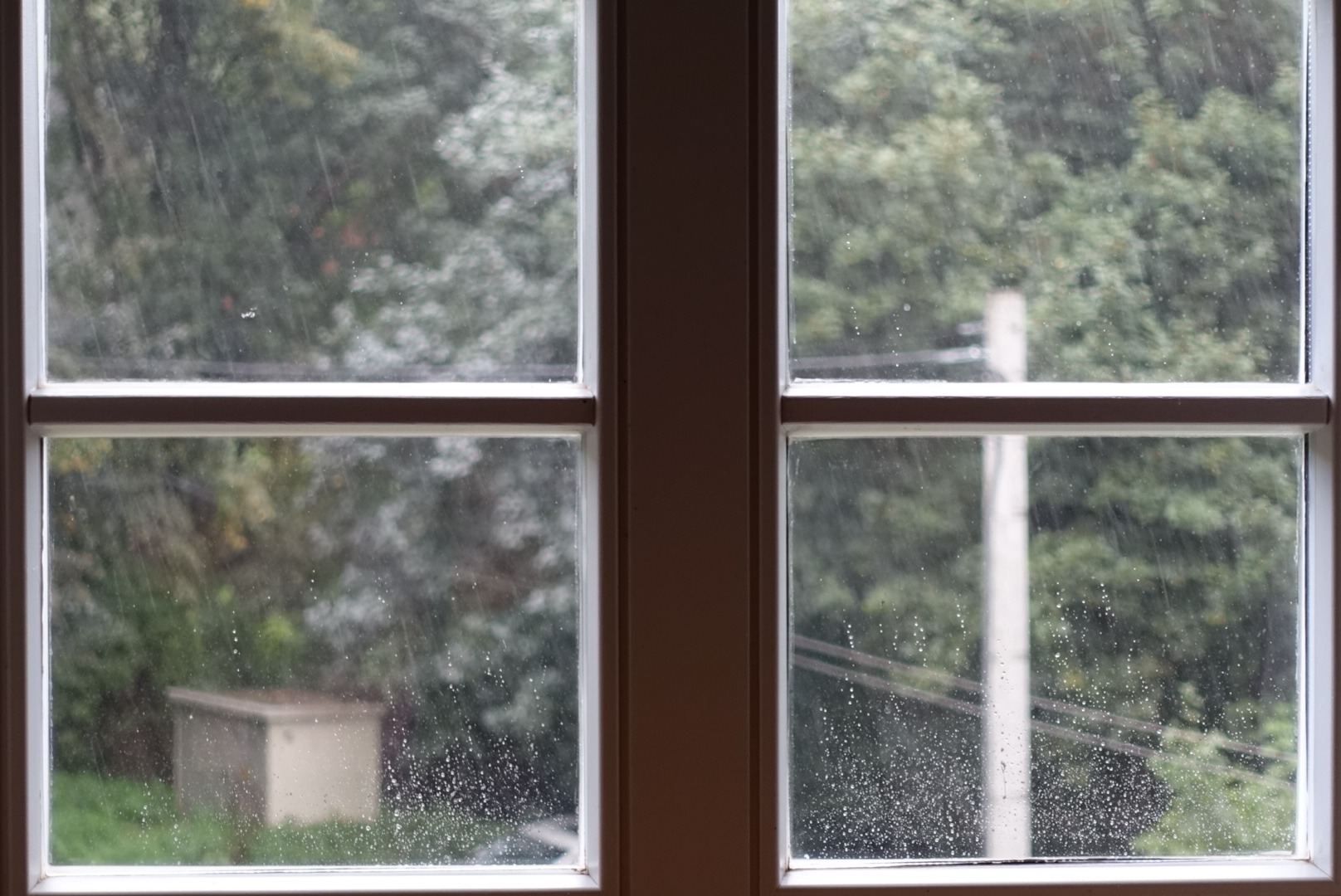 17.9. WRO Finale Tag 1