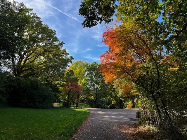 5.10 “mein Klub”