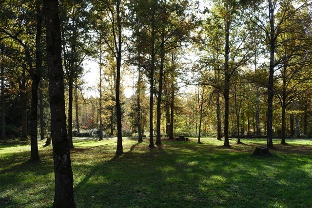 30.10. RT81 Weinberg in Metzingen