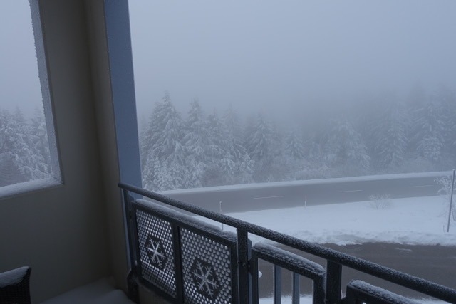 24.01. Schliffkopf – Geburtstag – Baden-Baden