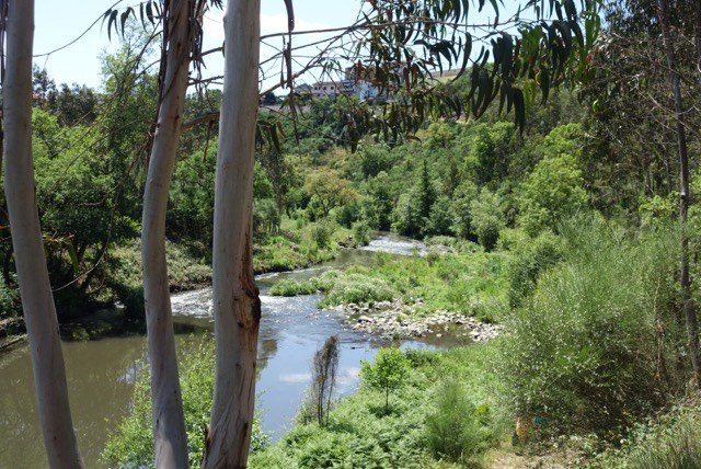 14.05. Porto: Valongo Teil 2 (RT17)