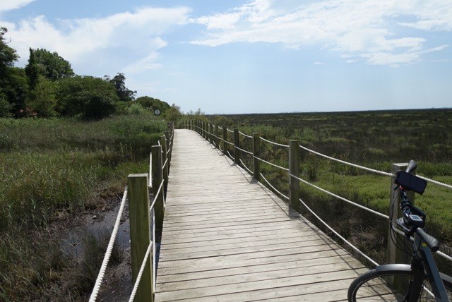 23.05. Porto: Furadouro – Aveiro Teil 2 (PC2, RT24)