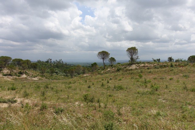 26.05. Porto: Figueiro da Faz – Coimbra Teil 2 (PC5, RT27)