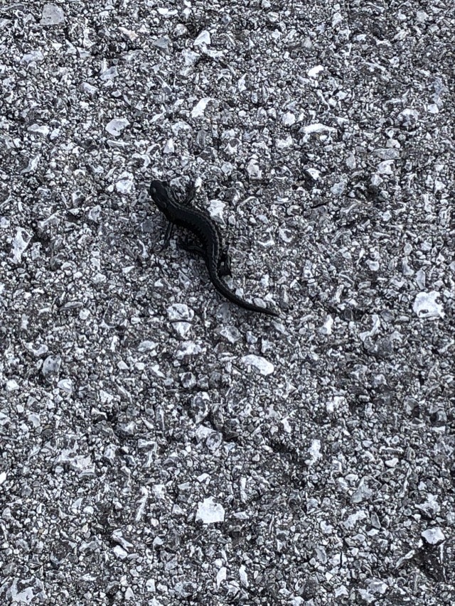 30.08. Rückkehr vom Abendessen