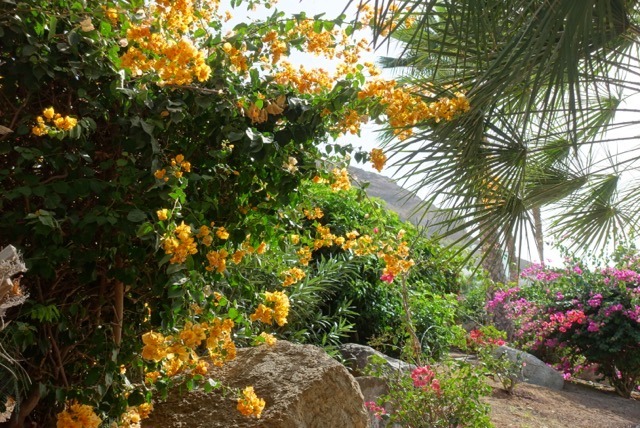 29.01 GC: Mogán und die Playa de Mogán