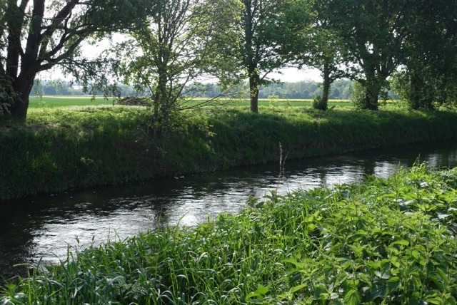 06.05. Elberadtour (Tag 5) auf nach Bremen (RT20)
