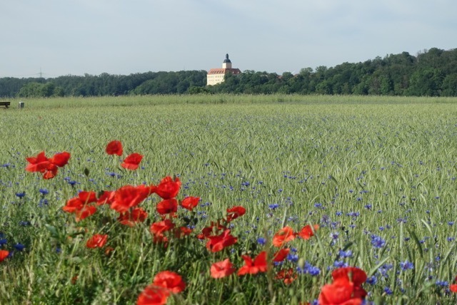 21.05. Elberadtour (Tag 20) Dresden (RT32) Teil 1