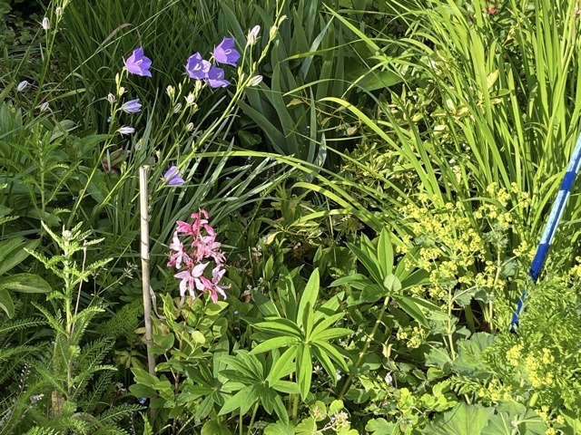 31.05. Besuch bei Oma