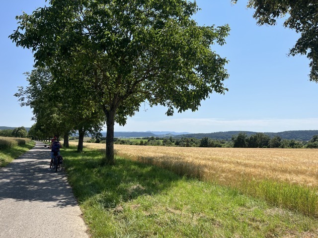 17.07. Besuch im Radlager (RT52/53)