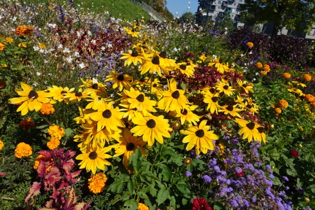 21.09.   LGS Wangen: Gartenschau Tag 1 (Teil 2)